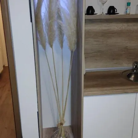 Day * ג'אגודינה