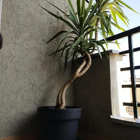 Day ג'אגודינה