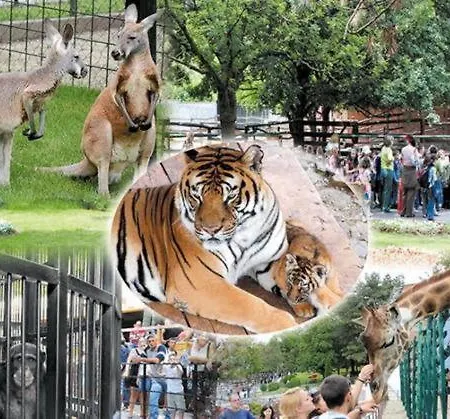 Day דירה ג'אגודינה