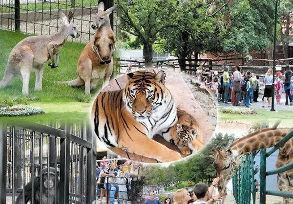 Day Apartamento Jagodina